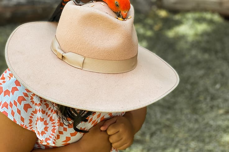 girl feeding bird on hat