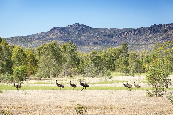 travel the winding Grampians Way 4