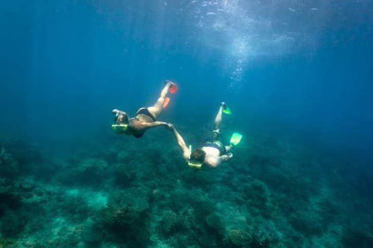 11 highlights from a road trip in tropical north queensland 3 2 people snorkeling along the coral in Queensland