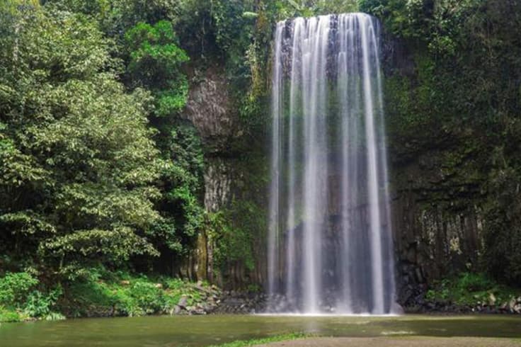 11 highlights from a road trip in tropical north queensland 4 Millaa Millaa waterfall at Atherton Tablelands Queensland