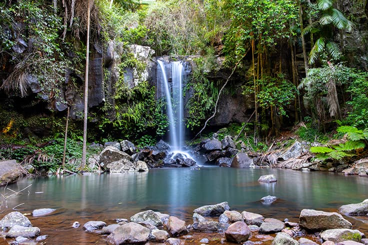 tamborine national park waterfall tamborine national park waterfall
