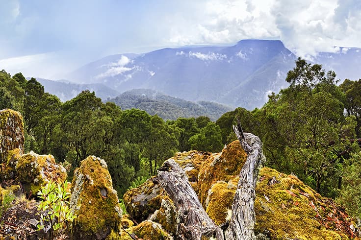 view over barrington tops national park view over barrington tops national park