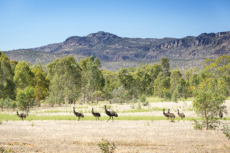 Victorias best wildlife hotspots 2