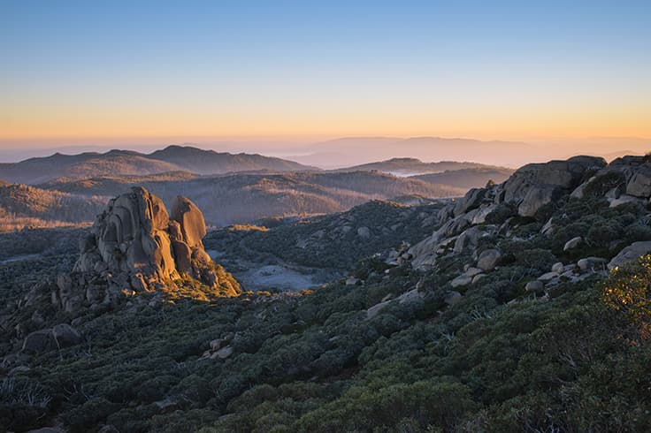 Victorias best wildlife hotspots 3