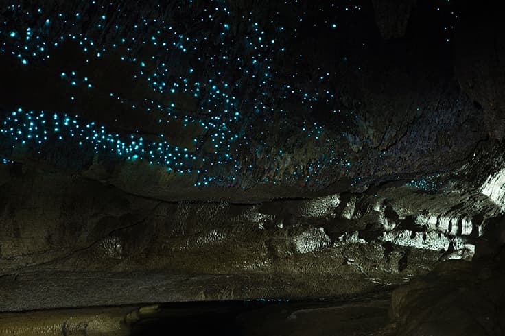 Five best day trips from Auckland 1