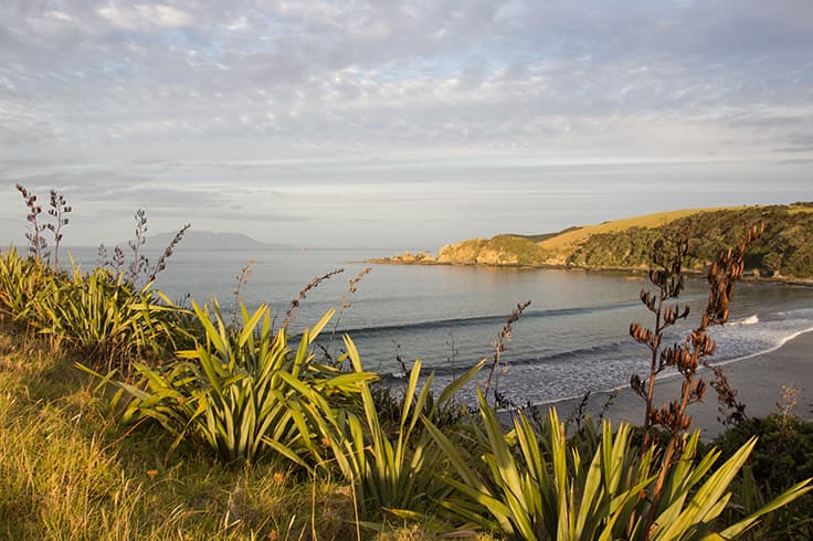 Five best day trips from Auckland 3