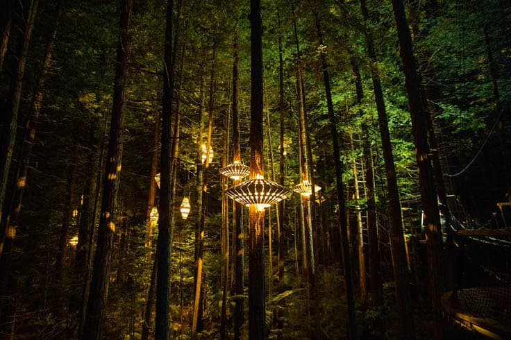 Whakarewarewa Forest Whakarewarewa Forest